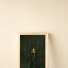 foto's kerstkaarten2 Kaart: Mijn lichtje