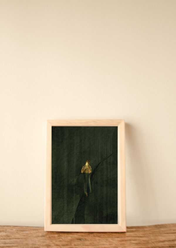 foto's kerstkaarten2 Kaart: Mijn lichtje