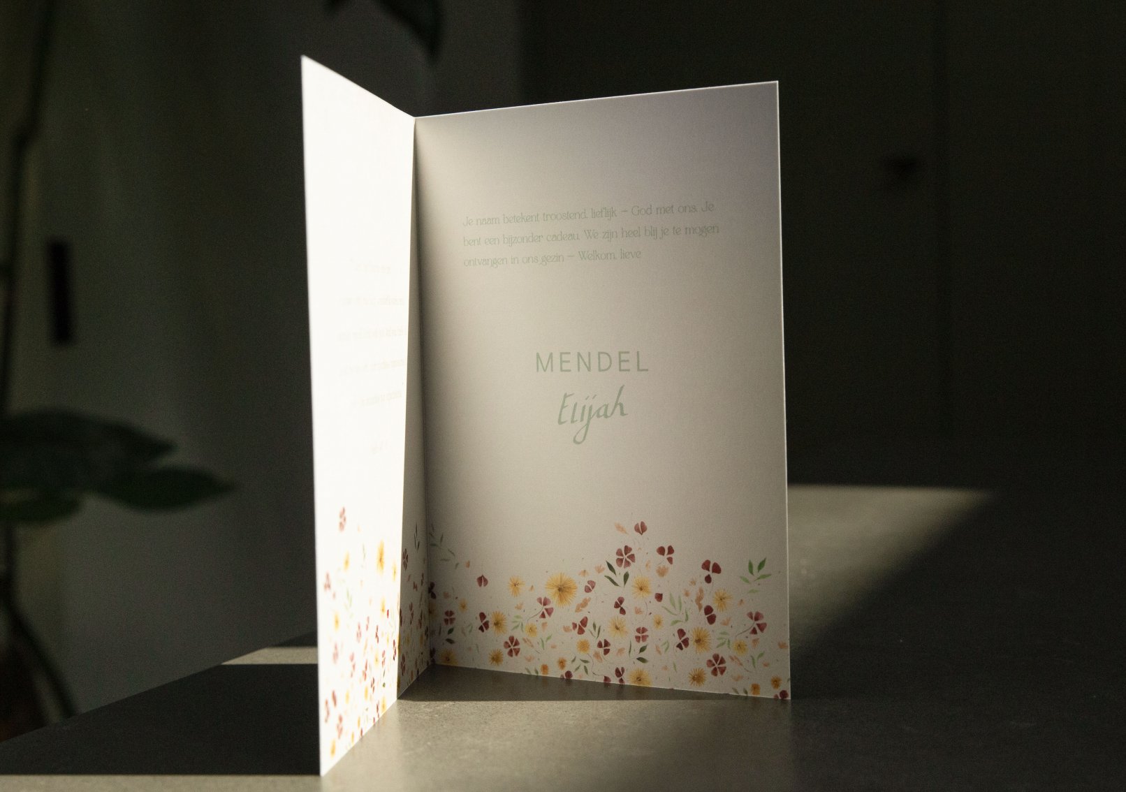 geboortekaartje ontwerp