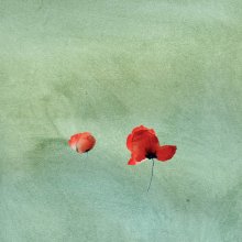 Illustratie_Lieuwkje