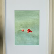 Illustratie_Lieuwkje