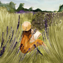 lavender fields illustratie lieuwkje