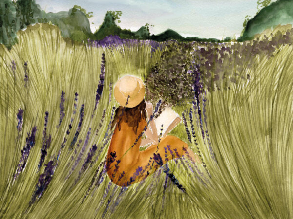 lavender fields illustratie lieuwkje